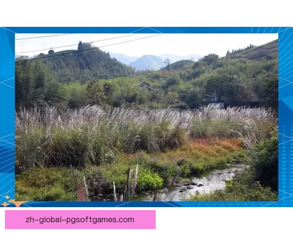 探索自然之美,感受野趣之乐 探索自然之美,感受野趣之乐