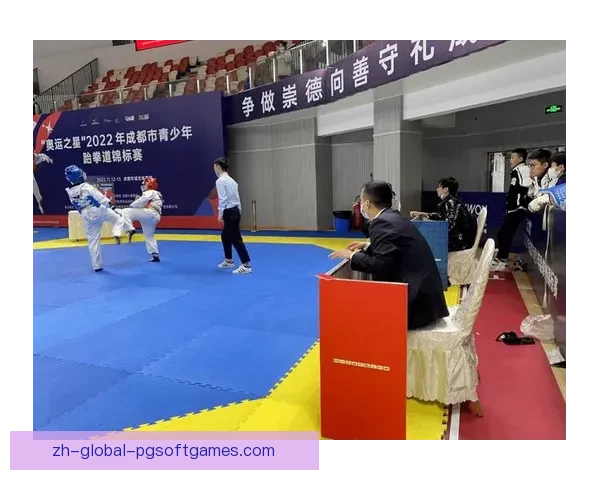 跆拳道杯赛：搏击世界，荣耀之战