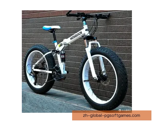 山地车历史演变与发展的探索