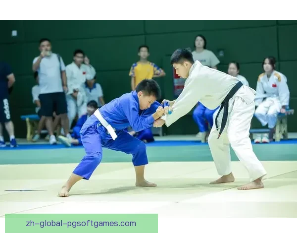 柔道积分榜排名及赛事情况详解