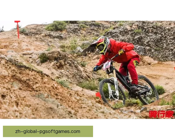 深圳跳水杯赛:挑战新高度,创造新记录 深圳跳水杯赛:挑战新高度,创造新记录